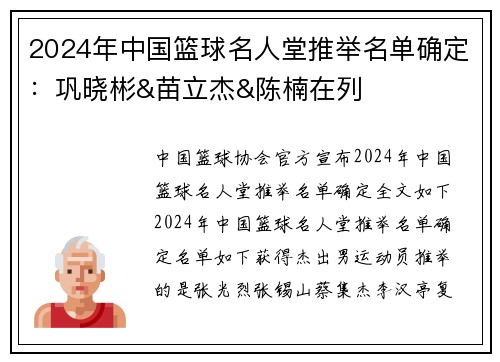 2024年中国篮球名人堂推举名单确定：巩晓彬&苗立杰&陈楠在列